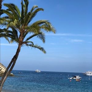 Meet your Posher, Reyna